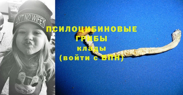2c-b Кинешма