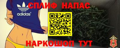 сатива Апшеронск