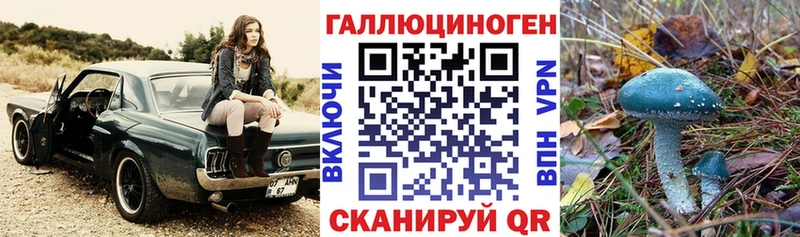 Псилоцибиновые грибы MAGIC MUSHROOMS  Ессентуки 