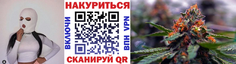 Каннабис сатива  Ессентуки 